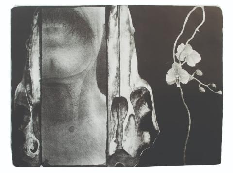 Երևան-Լայպցիգ մշակութային տարին կմեկնարկի Zu Gast in Leipzig: International Print Biennale Yerevan ցուցահանդեսով