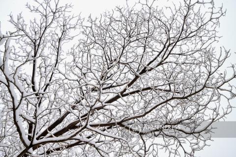 Հանրապետության առանձին շրջաններում սպասվում են ձյան առատ տեղումներ