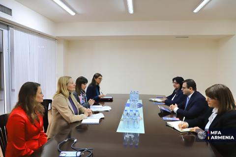Armenian deputy FM meets UN working group on discrimination against women and girls