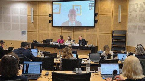 Armenian Ombudsperson participates in CPT plenary session in Strasbourg