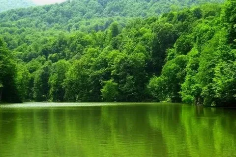 Դատախազության պետշահերի հայցը՝ «Դիլիջան» ազգային պարկի կողմից կառուցապատման իրավունքով տրամադրված 5 հողամասերի վերաբերյալ, ընդունվել է վարույթ