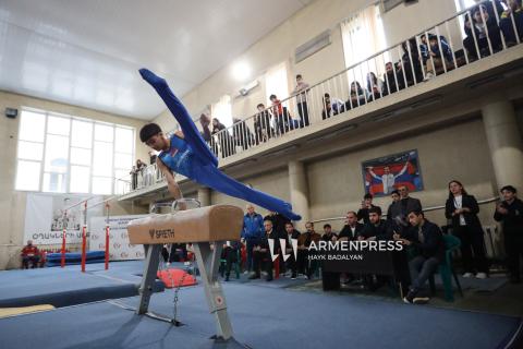 亚美尼亚2026年成年人体操锦标赛
