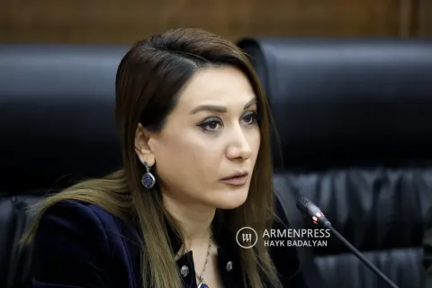 Արուսյակ Ջուլհակյանն ԱԺ-ի քննարկմանն է ներկայացրել դաշինքների վրա անձնանունների կիրառումն արգելելու օրինագիծը