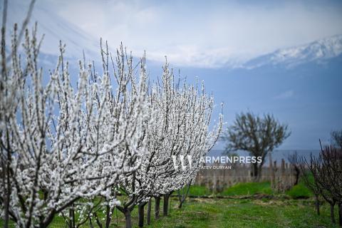 Մարտը վերադառնո՞ւմ է. առաջիկա օրերին սպասվող եղանակը