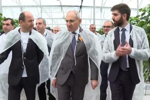 Նոր Գեղիում «Նուվո վիլաժ» ընկերությունը Կառավարության աջակցությամբ հիմնել է 5,2 հա պղպեղի ջերմատուն