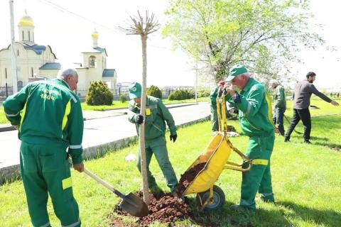 Իսակովի պողոտայում տնկվել է շուրջ 500 ծառ, տարածքն ապահովված է ոռոգման համակարգով