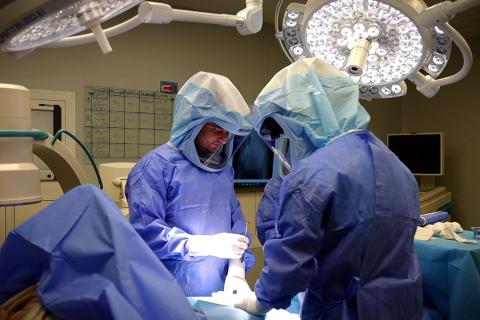 В Wigmore clinic эндопротезирование становится доступным для более широких слоев