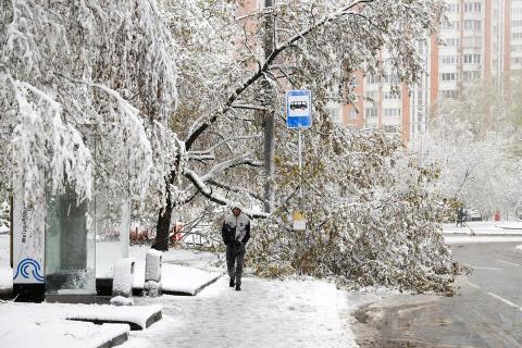 В Московской области объявлен «оранжевый» уровень погодной опасности из-за сильного снегопада