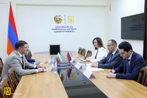 وزیر کار ارمنستان و سفیر بلغارستان مسائل مربوط به مهاجرت کاری را بررسی کردند