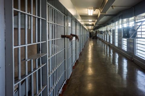 США не рассматривают освобождение заключенных как причину для смягчения санкций против Беларуси