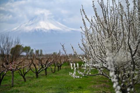 Հայաստանում սպասվում է կարճատև անձրև, ամպրոպ, կարկուտ