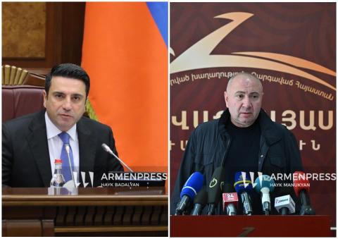 Կասկածներ ունեմ, թե դա ինչպես է եղել. Ալեն Սիմոնյանը՝ Անդրանիկ Թևանյանի նկատմամբ քրեական վարույթի հանգամանքների մասին
