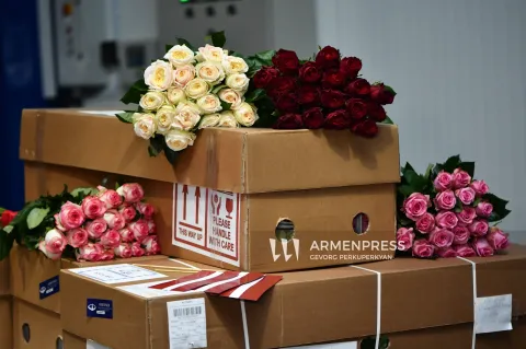 Հայաստանի ծաղիկ արտադրողները հասանելիություն են ստացել աշխարհի խոշորագույն ծաղկի առևտրային հարթակին