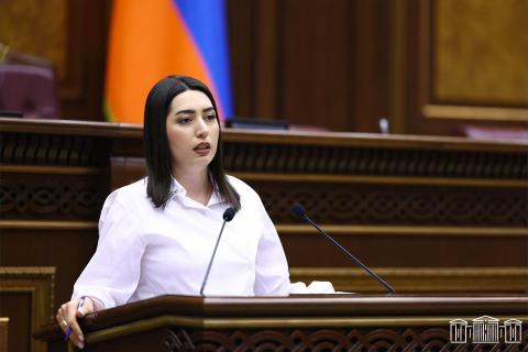 Վարորդական իրավունքի վերականգնման դեպքում կսահմանվի փորձաշրջան՝ 6 բալային միավորով․ ՆԳ նախարարն ԱԺ 1-ում ներկայացրել է օրենքի նախագիծը