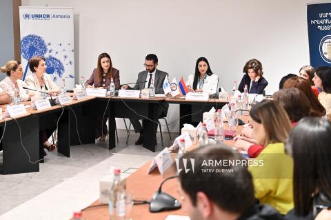 The inaugural meeting of the Public Council on the Protection and Promotion of the Rights of Asylum Seekers, Forcibly Displaced Persons, and Refugees