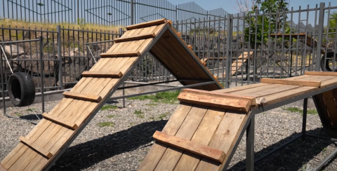 Երևանում բացվել է ընտանի շների համար նախատեսված 13-րդ առանձնացված զբոսայգին