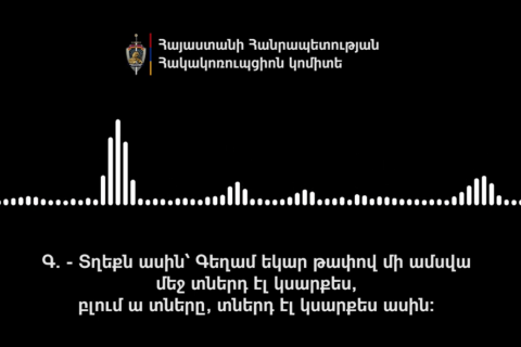 Several arrested in alleged vote-buying scheme linked to Strong Armenia