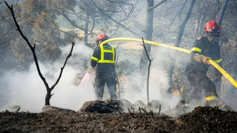 Hundreds of firefighters battle wildfire in France