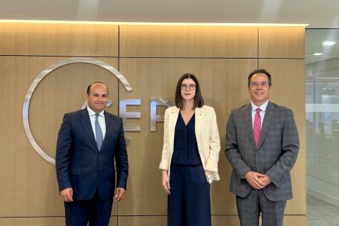 Ermenistan'ın ABD Büyükelçisi, Avrupa Politika Analiz Merkezi temsilcileriyle bir araya geldi