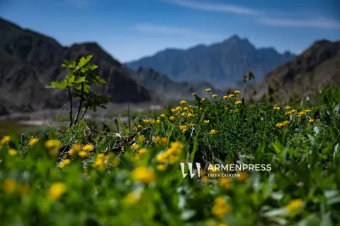 Օգոստոսին արտառոց շոգեր կամ ցրտեր չեն սպասվում. Գագիկ Սուրենյան