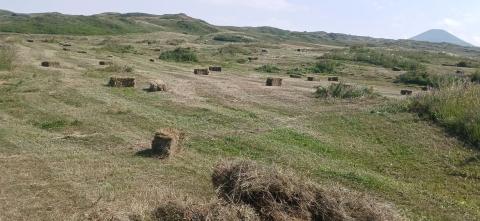Գեղարքունիքի մարզի տնտեսություններում արդեն կուտակվել է 15 հազար 550 տոննա անասնակեր
