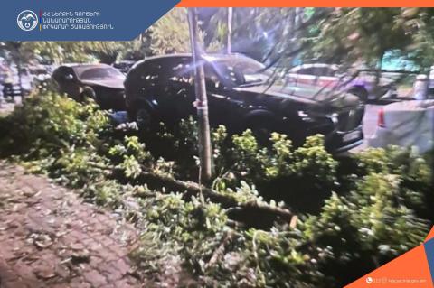 Փրկարարները հեռացրել են ընկած ծառերը՝ վերականգնելով երթևեկությունը