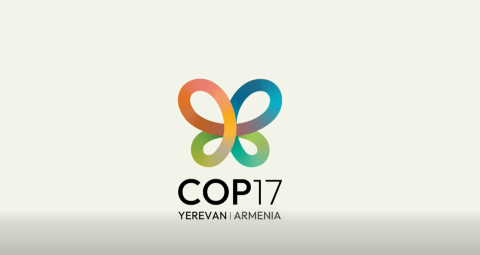 COP17’ye 15 bine kadar ziyaretçi bekleniyor