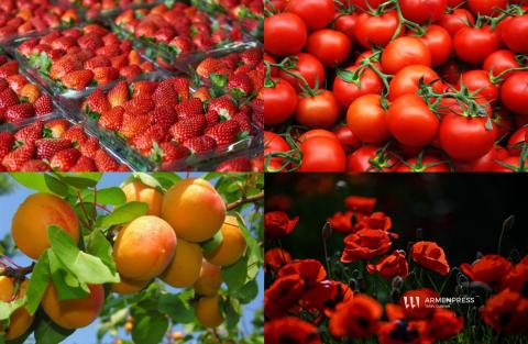 Կառավարությունն արտահանող տնտեսավարողներին փոխհատուցումների համար կհատկացնի ավելի քան 5.3 մլրդ դրամ