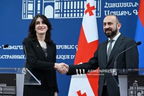 Վրաստանի ԱԳ նախարարը շնորհավորել է Արարատ Միրզոյանին