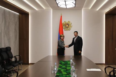 Ալեն Սիմոնյանն ընդունել է Հայաստանում Եգիպտոսի դեսպանին
