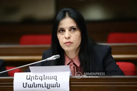 Քննիչը թույլատրել է Արեգնազ Մանուկյանի տեսակցությունը դստեր հետ