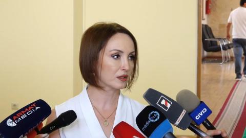 MP Lusine Badalyan's press briefing