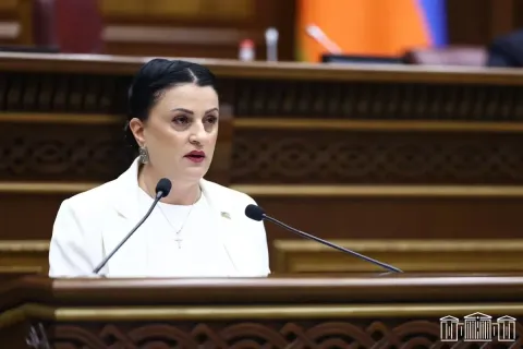 Իրինա Յոլյանը չընտրվեց ԱԺ տարածքային կառավարման և շրջակա միջավայրի պահպանության հարցերի մշտական հանձնաժողովի նախագահի պաշտոնում
