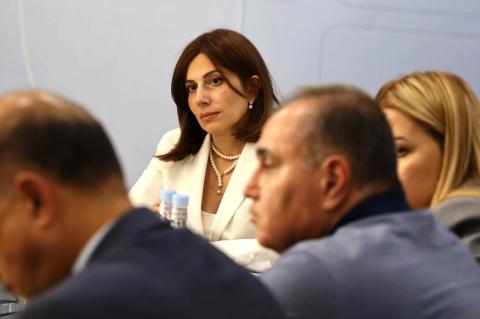 Անահիտ Ավանեսյանը հերթական հանդիպումն է ունեցել Հայկական բժշկական ասոցիացիայի ներկայացուցիչների հետ