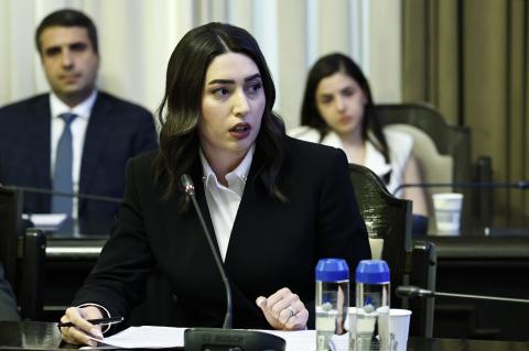 ՆԳ նախարարը ներկայացրեց ընտանիքում բռնությունը կանխարգելելուն միտված օրենսդրական նախաձեռնությունը