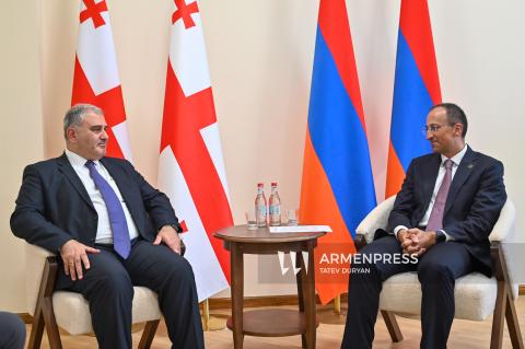 Արսեն Թորոսյանի հանդիպումը Վրաստանի օկուպացված տարածքներից տեղահանված անձանց, աշխատանքի, առողջապահության և սոցիալական պաշտպանության նախարար Միխեիլ Սարջվելաձեի հետ