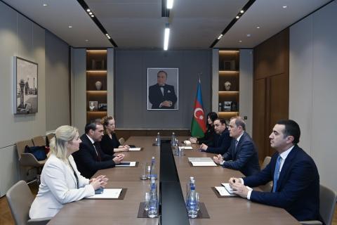 Ջեյհուն Բայրամովը ԱՄՆ հատուկ ներկայացուցչի ավագ խորհրդականի հետ քննարկել է TRIPP-ը