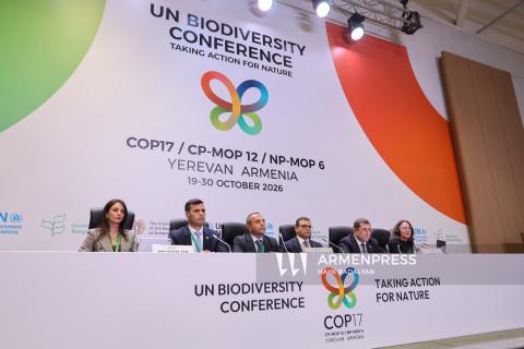 COP17-ը Հայաստանին հնարավորություն է տվել նոր կապեր հաստատել միջազգային գործընկերների հետ. Ռոբերտ Աբիսողոմոնյան