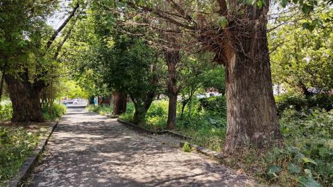 Շիրակում 5 ծրագրի համար կհատկացվի ավելի քան 144 մլն դրամ