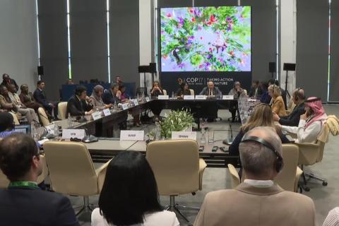Pashinyan delivers remarks at panel discussion during Leaders’ Summit on Biodiversity