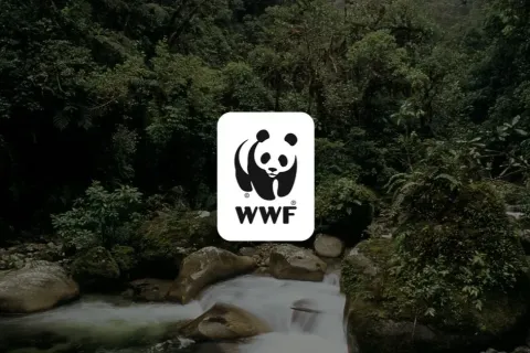 WWF-ը COP17-ից ակնկալում է կենսաբազմազանության պահպանության ֆինանսավորման ավելացում և կոնկրետ գործողություններ