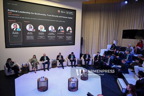 Education Systems in Advancing Food Security and Implementing the Global Biodiversity Framework panel discussion at COP17