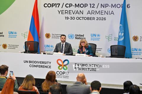 Press conference on the COP17 agenda and key priorities