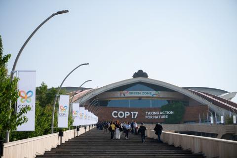 Իդրամն ու IDBank-ը մասնակցեցին COP17-ում «Իմ անտառ Հայաստանի» տաղավարի բացմանը