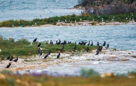 Time to Take Action for Nature — for the Benefit of All