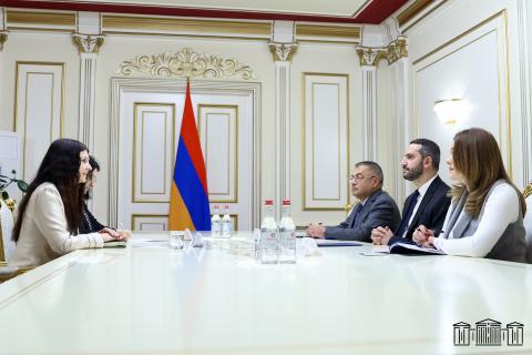 Ռուբեն Ռուբինյանն ու Տատյանա Պանայոտովիչ-Ցվետկովիչը քննարկել են Հայաստան-Սերբիա համագործակցության ընդլայնմանն առնչվող հարցեր