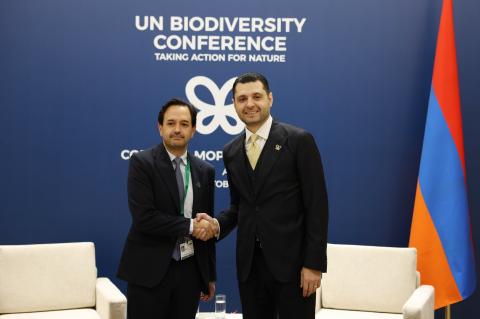 ՀՀ ՇՄ նախարարը COP17-ի շրջանակում  հանդիպել է Գլոբալ էկոլոգիական հիմնադրամի գլխավոր գործադիր տնօրենի հետ
