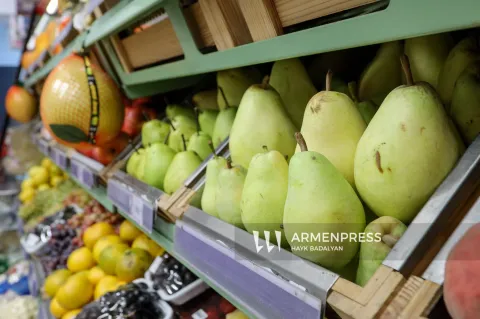Հայաստանը հուլիս-սեպտեմբերին մրգեր է արտահանել Օման․ Միրզոյանը վստահ է՝ արտահանման ծավալները կավելանան