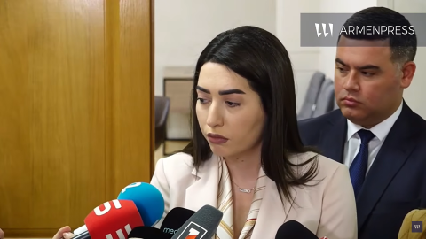 Ընտանեկան բռնության դեպքերով վարույթի շարունակությունը պետք է կախված չլինի տուժողի բողոքից կամ դատախազի հայեցողությունից․ Արփինե Սարգսյան