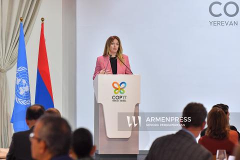COP17-ում մեկնարկել է բնությանը վնասող սուբսիդիաների վերափոխմանն ու դրական խթանների ընդլայնմանն ուղղված նախաձեռնություն